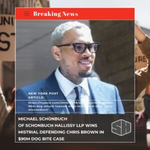 Michael Schonbuch Wins Mistrial Defending Chris Brown in $90m Dog Bite Case